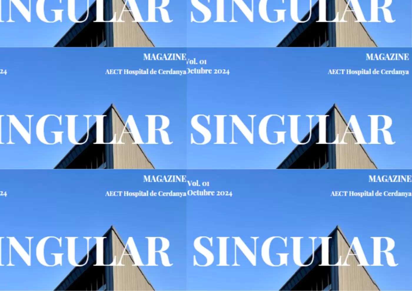 'SINGULAR'  el nou magazine de l'Hospital de Cerdanya